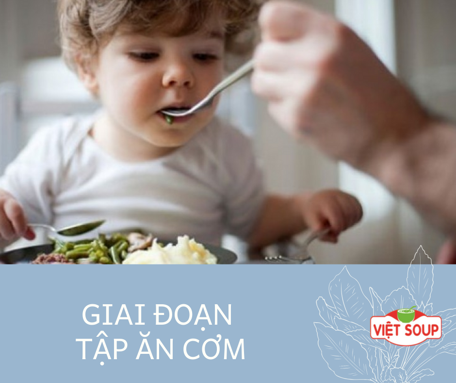 Giai đoạn tập ăn cơm