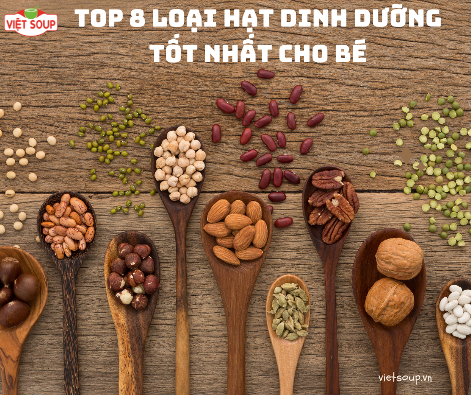 Top 8 loại hạt dinh dưỡng tốt nhất cho bé